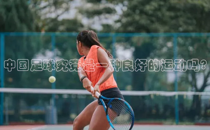 爱游戏官方网站入口登录哇咔哇咔文化中国足球究竟是一种良好的运动吗?