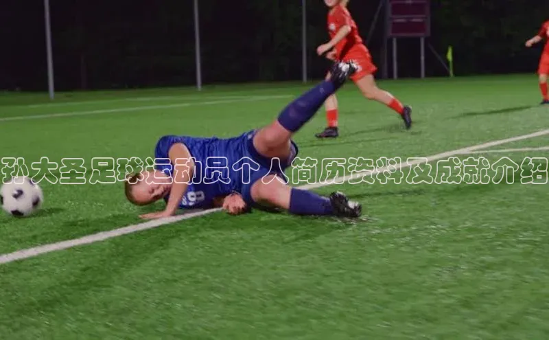 ayx·爱游戏APP登录入口梯哥哥科技孙大圣足球运动员个人简历资料及成就介绍