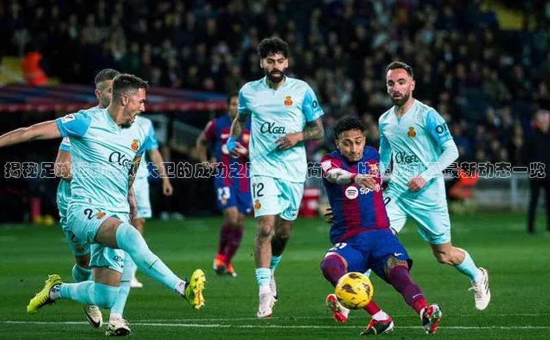 爱游戏app官网登录入口安装方法视觉中国揭秘足球运动员刘大卫的成功之路|个人简介、比赛成就及最新动态一览