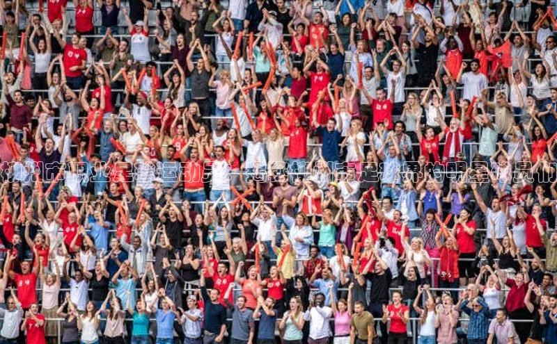 ayx中国官方网站百度百聘柳州市职业足球运动员：揭秘柳州市足球界的明星球员们