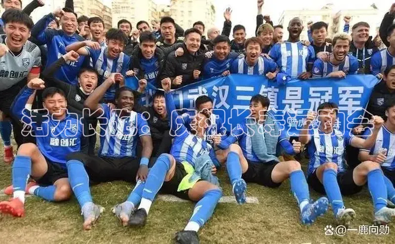 活力长跑：庆祝长寿运动会