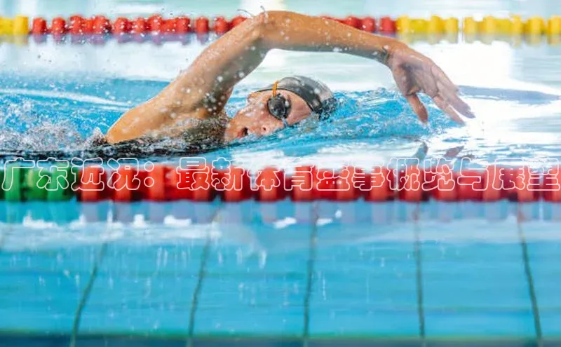 广东近况：最新体育盛事概览与展望