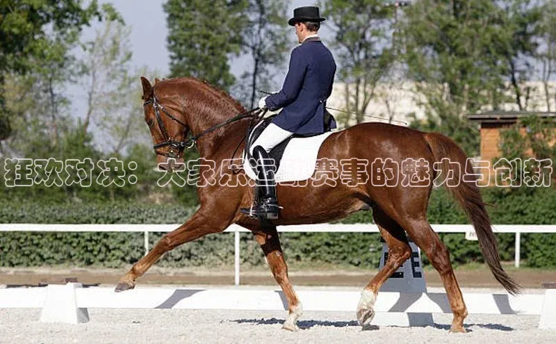 狂欢对决：大家乐运动赛事的魅力与创新