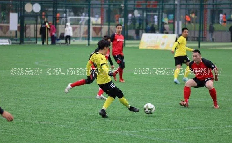 多彩贵州：激情与健康的年度盛会——2023年贵州运动会精彩回顾