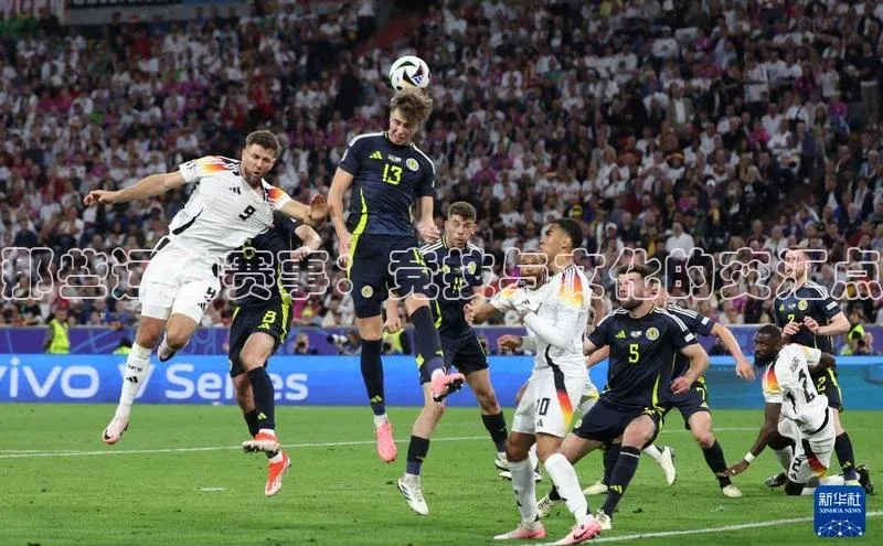 那些运动赛事：竞技与文化的交汇点