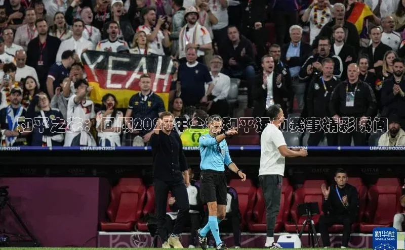 和平之花：回顾2023年全球和平运动赛事精彩瞬间