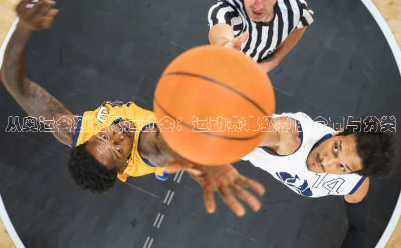 从奥运会到社区运动会：运动赛事级别的全面与分类