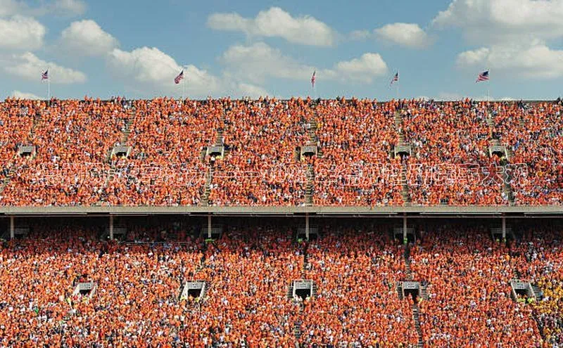 德州风:欢享活力——2023年德州运动赛事大观