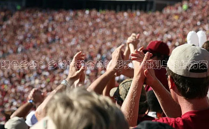 绿色乡约：乡村运动会的精彩赛事策划与组织方案