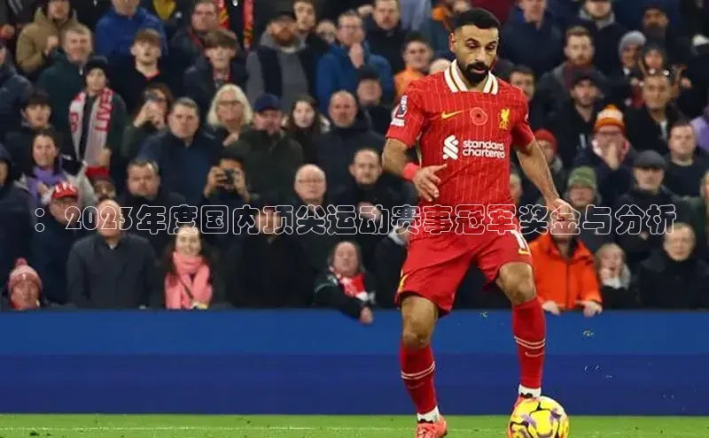 ：2023年度国内顶尖运动赛事冠军奖金与分析