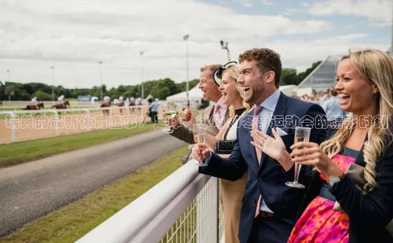 瑞典的最新体育盛事：足球、冰球和冬季运动会的精彩时刻