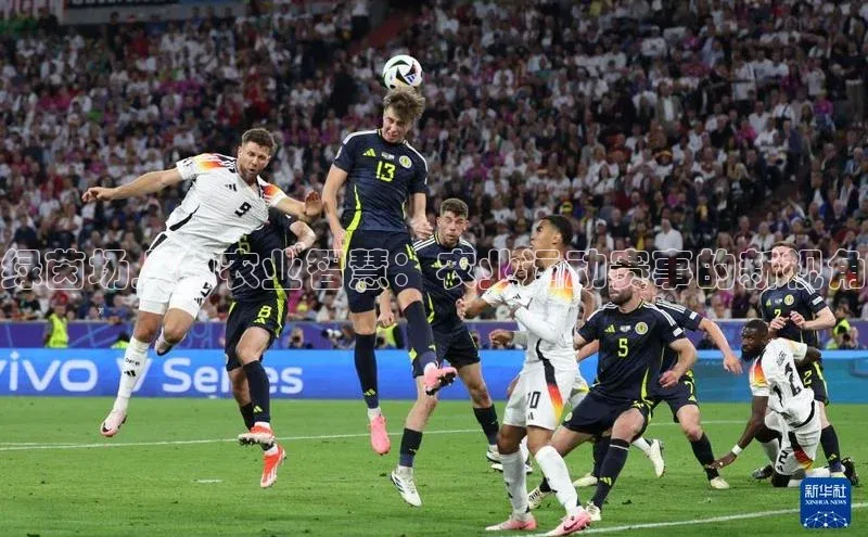 绿茵场上的农业智慧：农业运动赛事的新视角