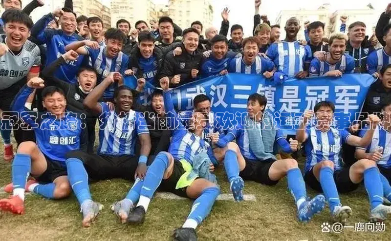 冠军之路：分析当前最受欢迎的运动赛事品牌