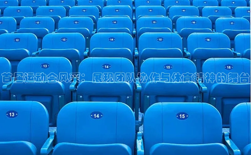 首届运动会风采：展现团队协作与体育精神的舞台